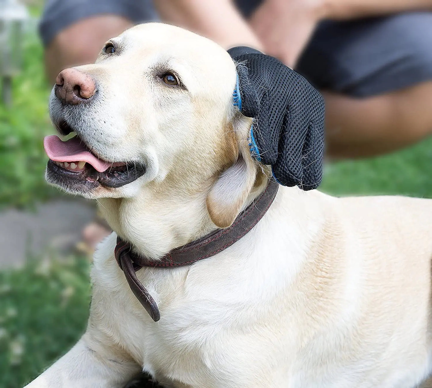 Anti-Hair Grooming Glove for your Fur Baby