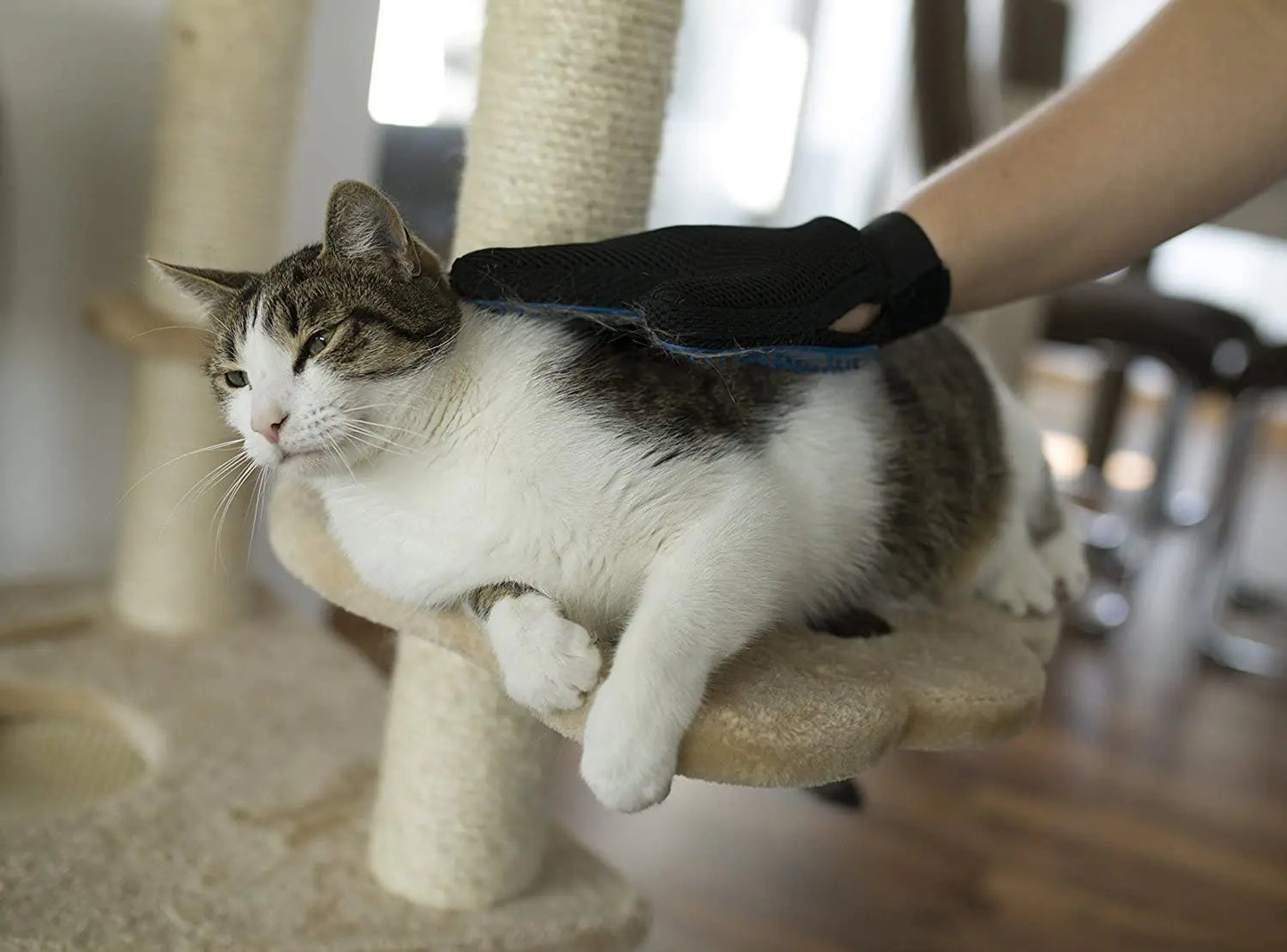 Anti-Hair Grooming Glove for your Fur Baby